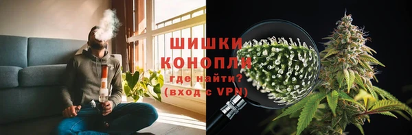 сатива Аркадак