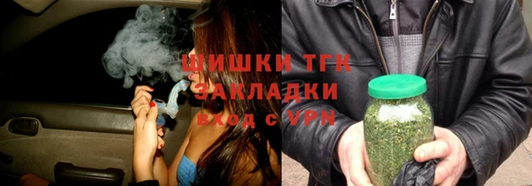 сатива Аркадак