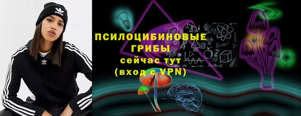 сатива Аркадак