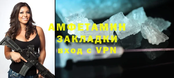 сатива Аркадак