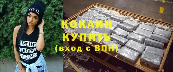 сатива Аркадак