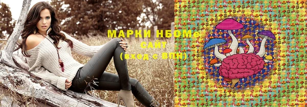 сатива Аркадак