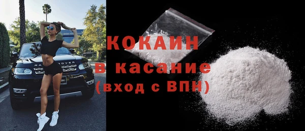 сатива Аркадак