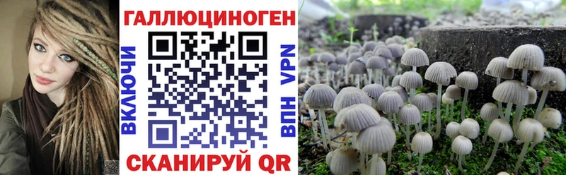 Галлюциногенные грибы мицелий Сибай